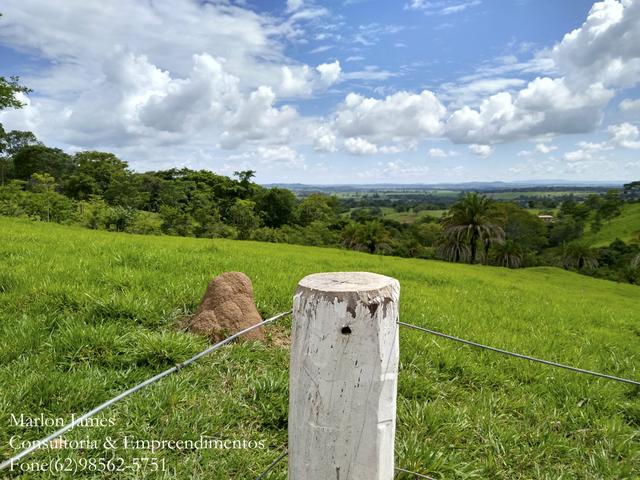 Fazenda em Americano do Brasil-Go! - Foto 9