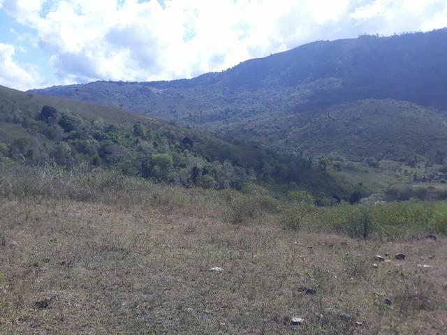 Fazenda Almadina - Foto 7