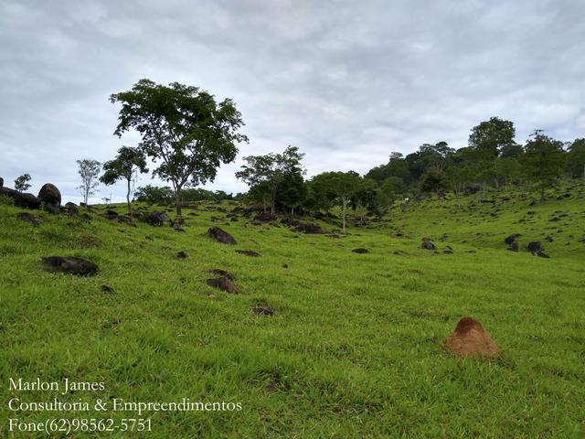 Fazenda em Americano do Brasil-Go! - Foto 15
