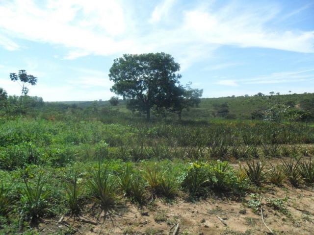 Sítio à venda em Zona rural sitio vereda grande, Três marias cod:442 - Foto 12
