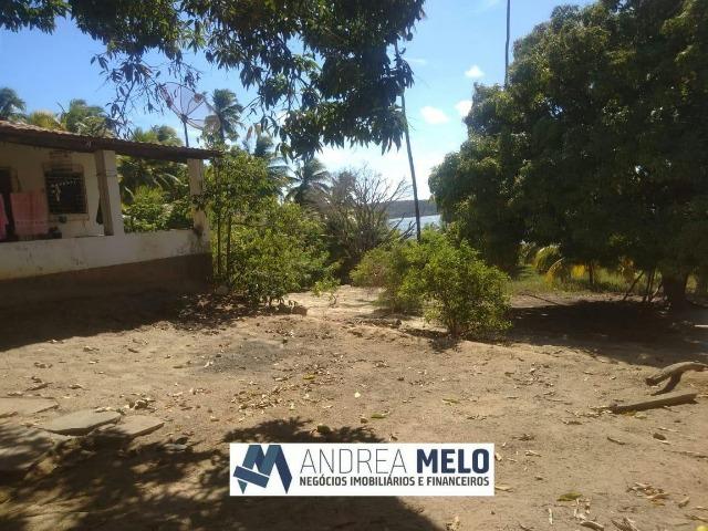 Chacara na Margem da Lagoa em Jequiá!