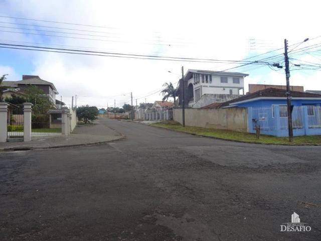 Terreno para alugar em Jardim carvalho, Ponta grossa cod:2015/1625 - Foto 5