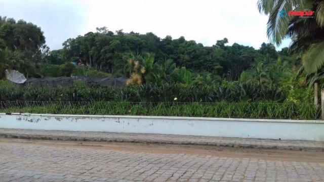 Terreno para alugar em Tiroleses, Timbó cod:2556 - Foto 3