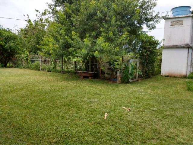 Sítio 4,1 hectares - volta do anacleto - montenegro - rs - Foto 16