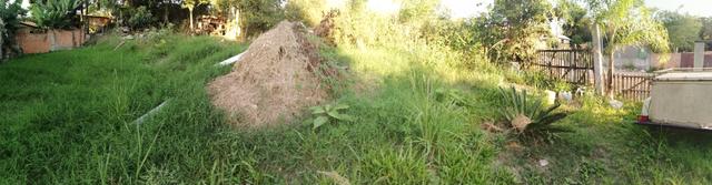 Terreno Bairro Agronomia - Foto 3