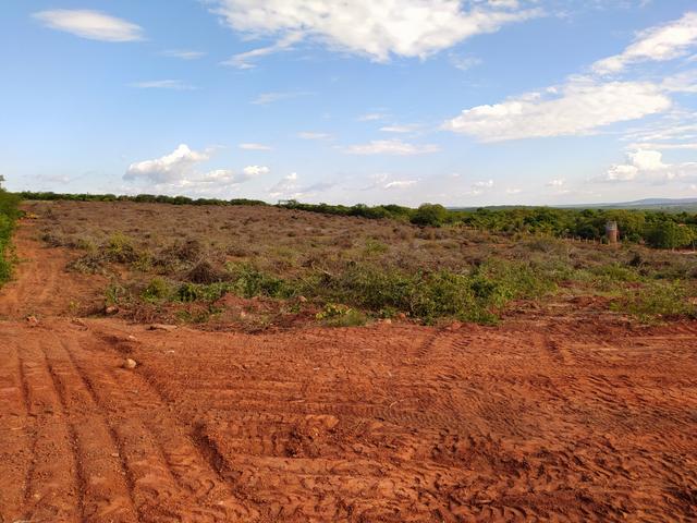 Vendo lotes em brejo santo - Foto 4