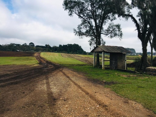 Área Rural em São José dos Pinhais - Foto 5