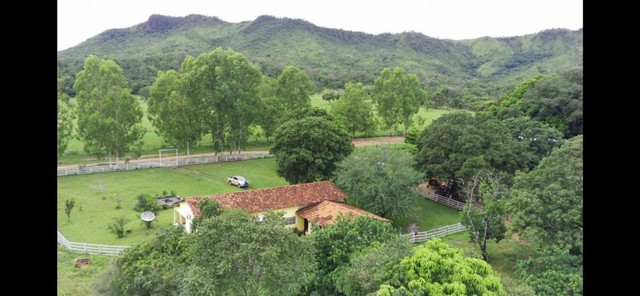Excelente Fazenda com 180 Alqueires - Foto 4