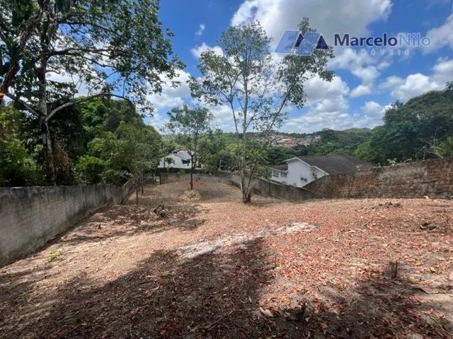 Terreno Murado No Sítio Dos Pintos, 20x40m, 800m2 - Foto 3