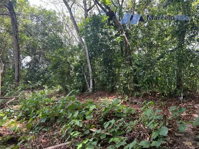Terreno Murado No Sítio Dos Pintos, 20x40m, 800m2 - Foto 5