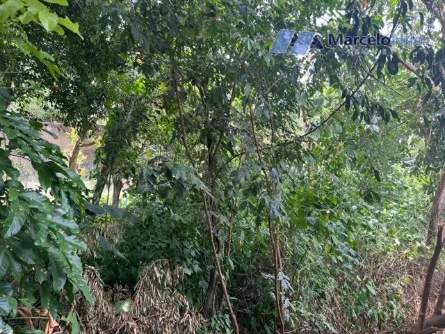 Terreno Murado No Sítio Dos Pintos, 20x40m, 800m2 - Foto 4