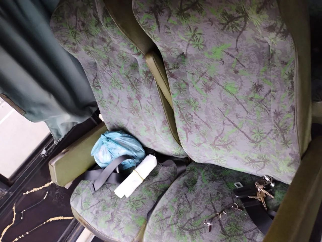 Ônibus Diplomata Banda  Scania - Grupo Som da Terra - Foto 6