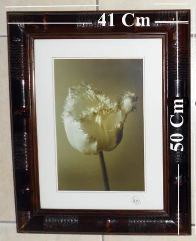 Quadros com motivo Floral e moldura tamanho 3 x  41 x 50 Cm com vidro. - Foto 4