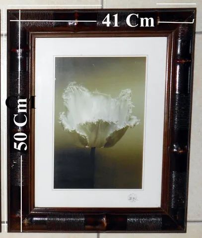 Quadros com motivo Floral e moldura tamanho 3 x  41 x 50 Cm com vidro. - Foto 5