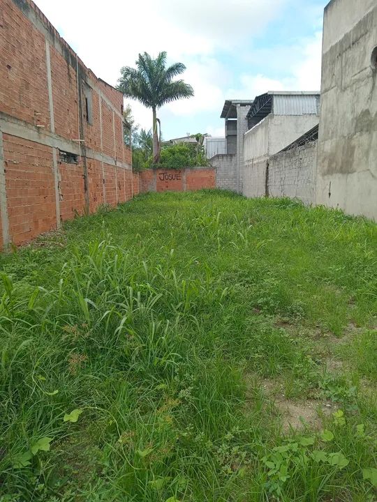 Limpeza de terreno e de jardim corto sua grama e matos . - Foto 4