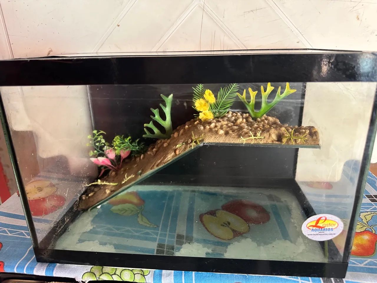Aquário de vidro para peixes - Foto 3