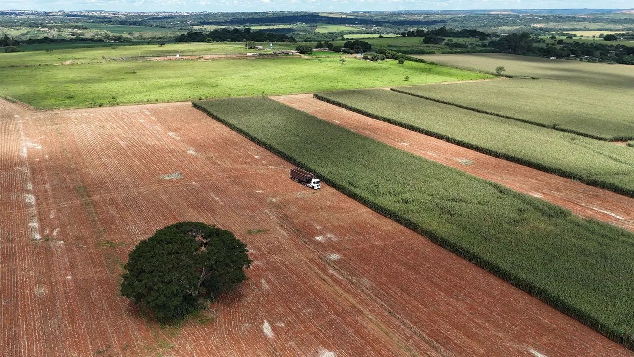 Silo de milho o melhor !!! - Foto 3