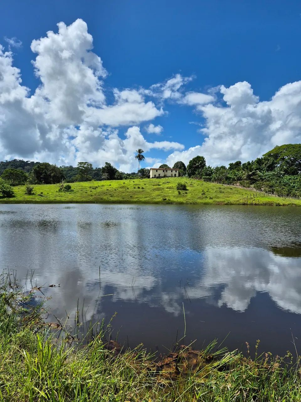 Fazenda em Santa Luzia - Foto 4