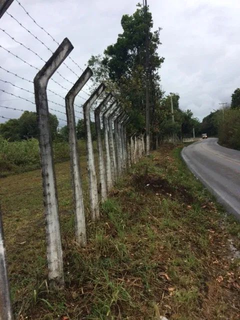 Melhor Área 11 Hectares Industrial, 241m de Beira, Pista Guabiraba, Instalação Empresas - Foto 3