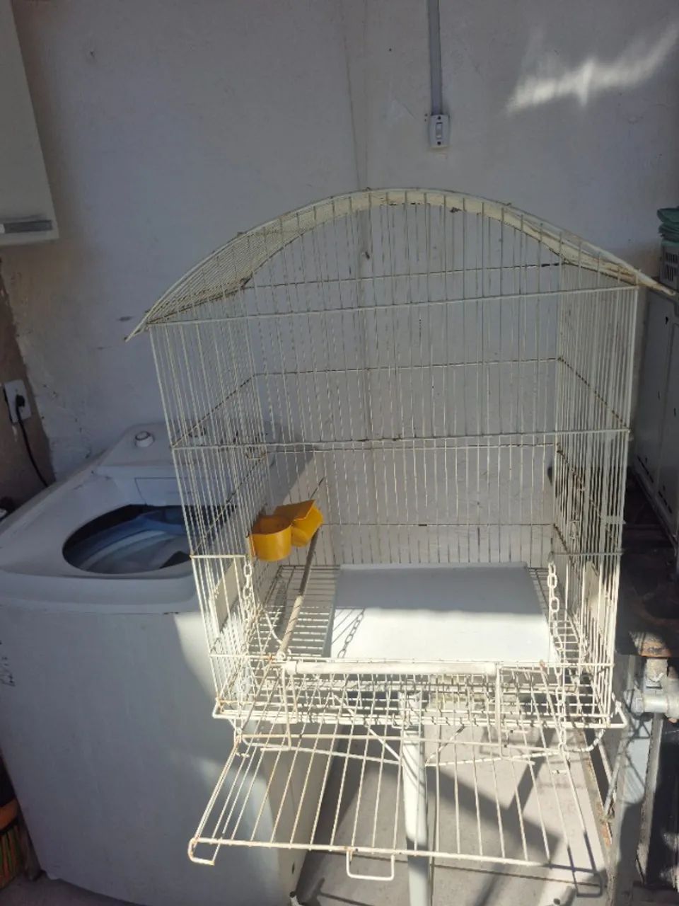 Viveiro grande. Calopsita cerca de 1,60 de altura - ABAIXOU!!! - Foto 4