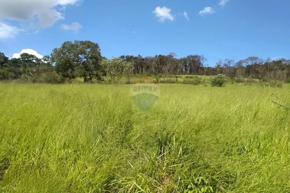 Chácaras de 10.000m em Alto Maranhão, Congonhas ! - Foto 3