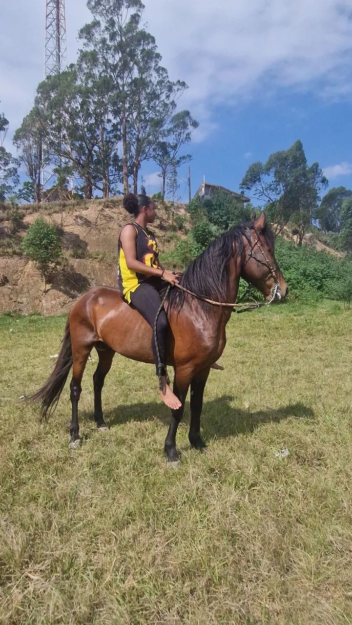 Cavalo com marcha picada, 4 anos á venda - Foto 5