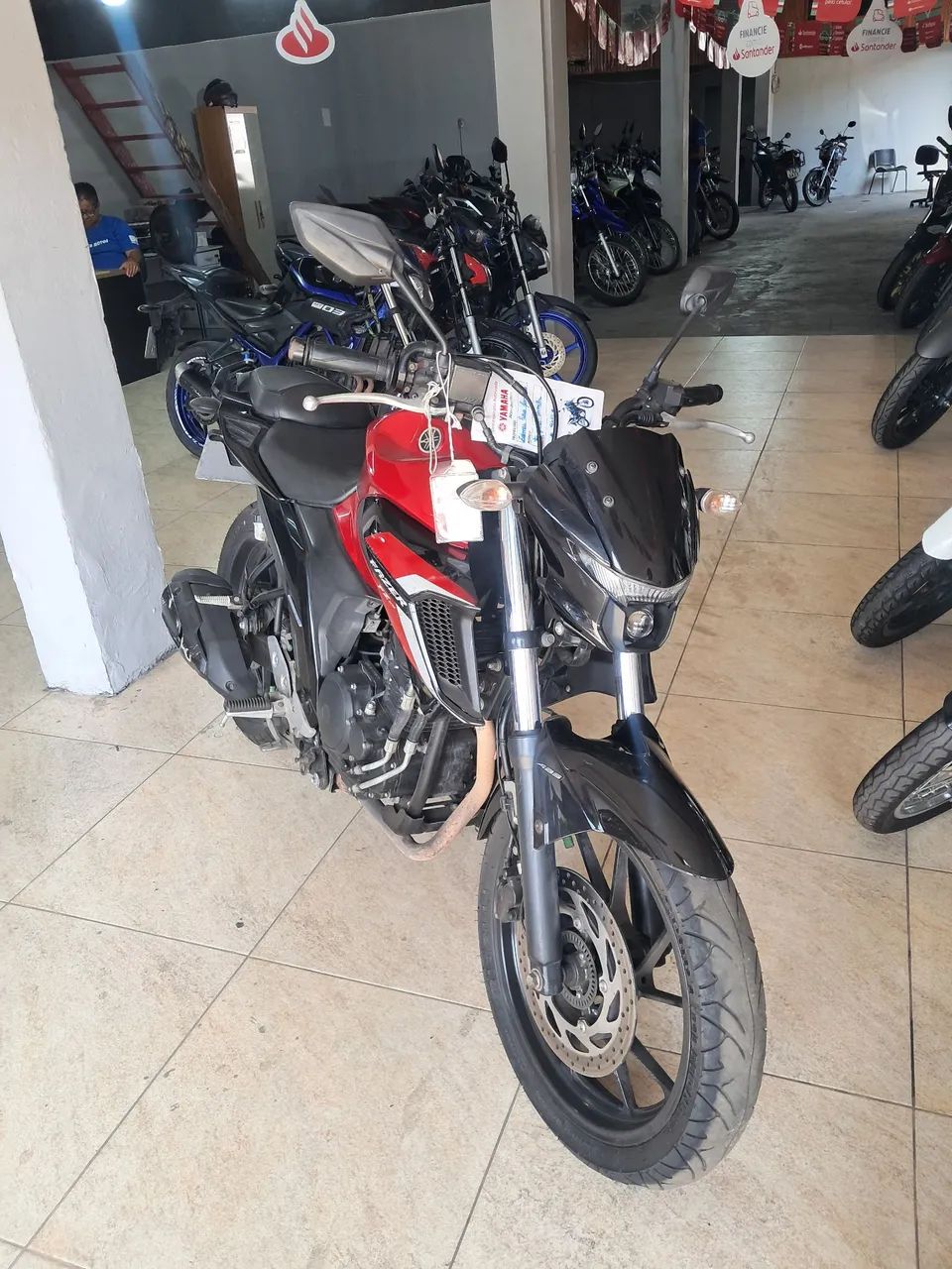 FZ 25 2023/24 - Foto 2