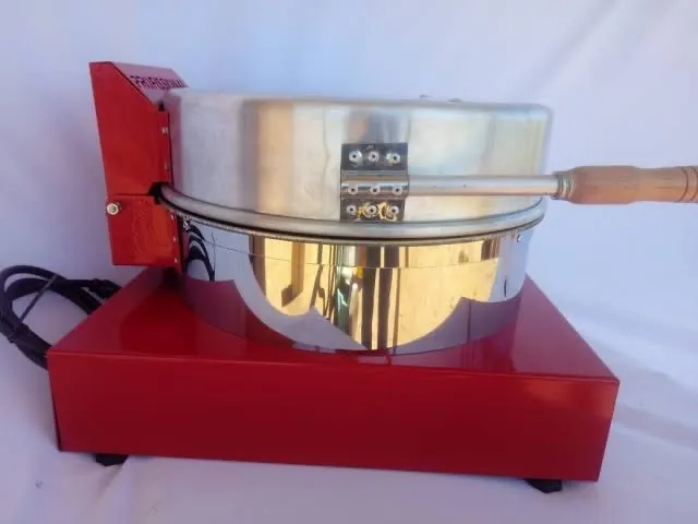 Forno de pizza profissional