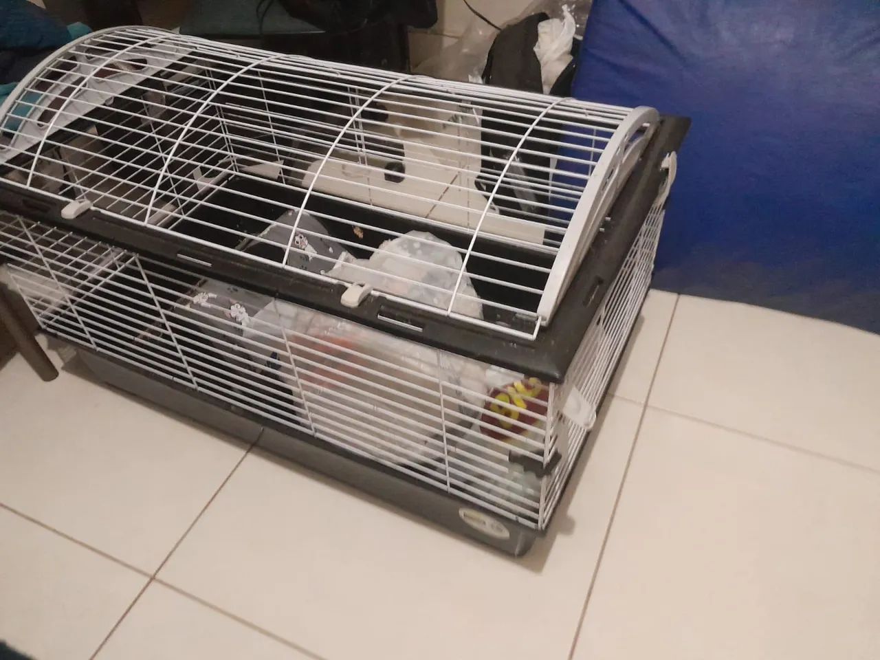 Gaiola de luxo  - Foto 4