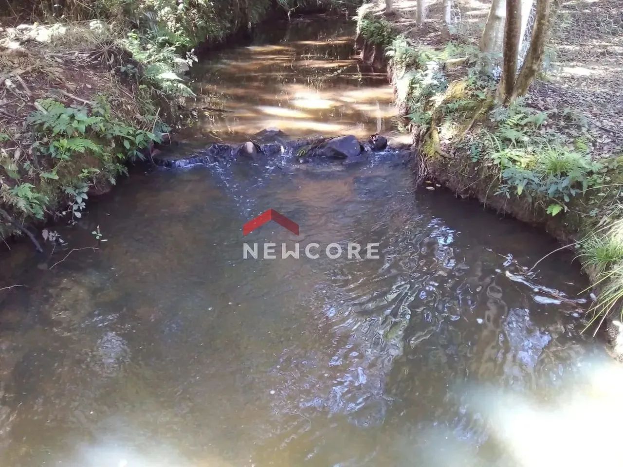Chácara em Área Rural - Campestre da Faxina - São José dos Pinhais/PR - Foto 5