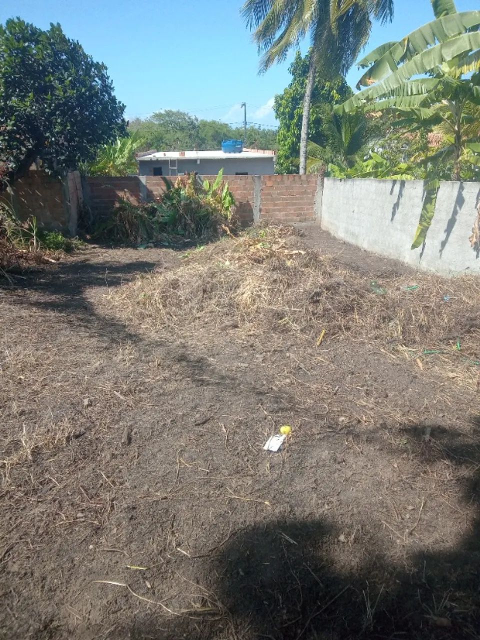Foto - Vera Cruz - 