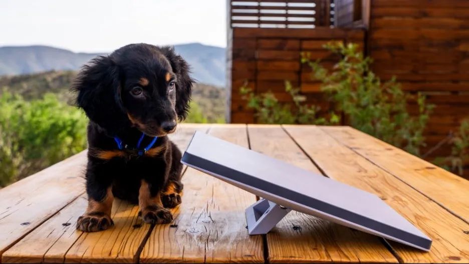 Starlink Mini Anatel  - Foto 3