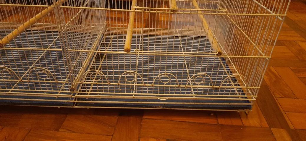 Gaiola Voadeira Com Divisória Grande Branca - Foto 4