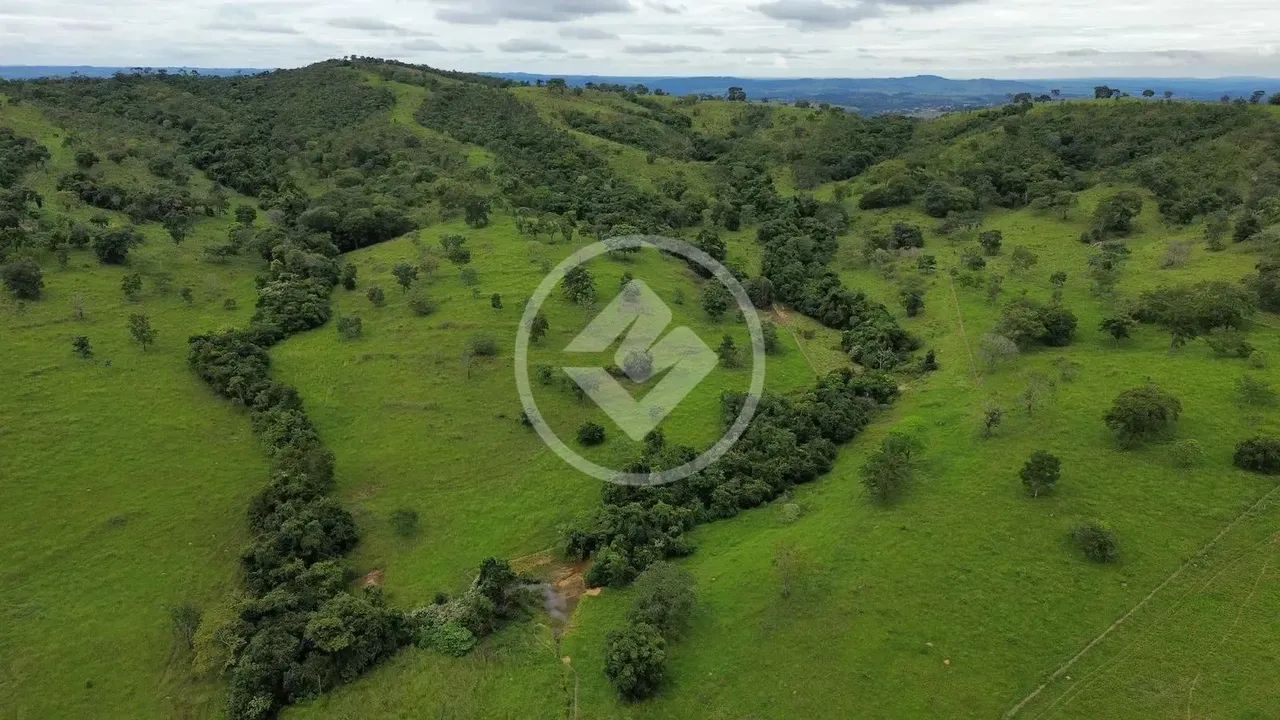 Caldazinha - Fazenda com 40 Alqueires codigo: 118399 - Foto 5