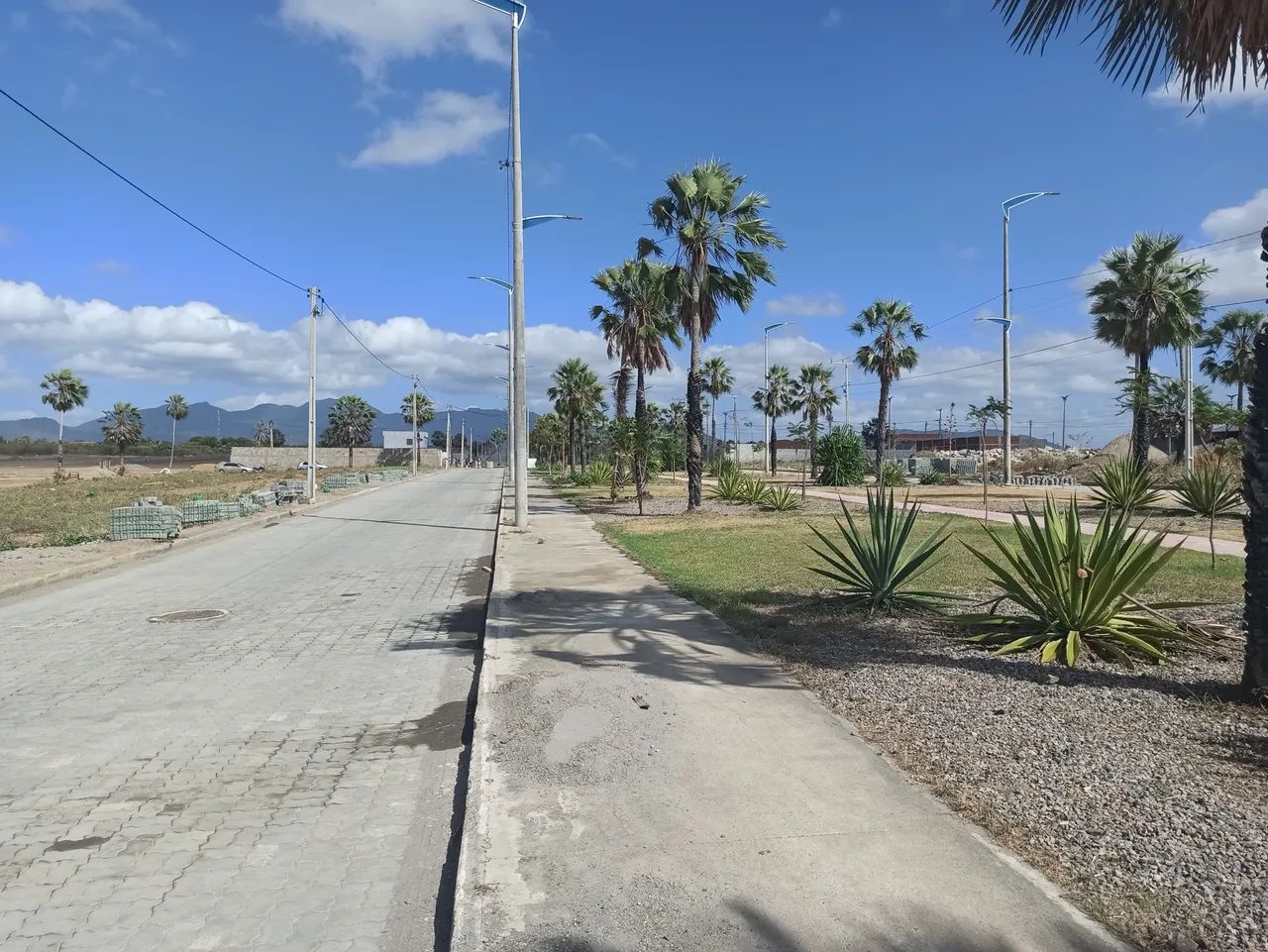 Lotes Mãe rainha por trás dos condominios pétalas e buques - Foto 9