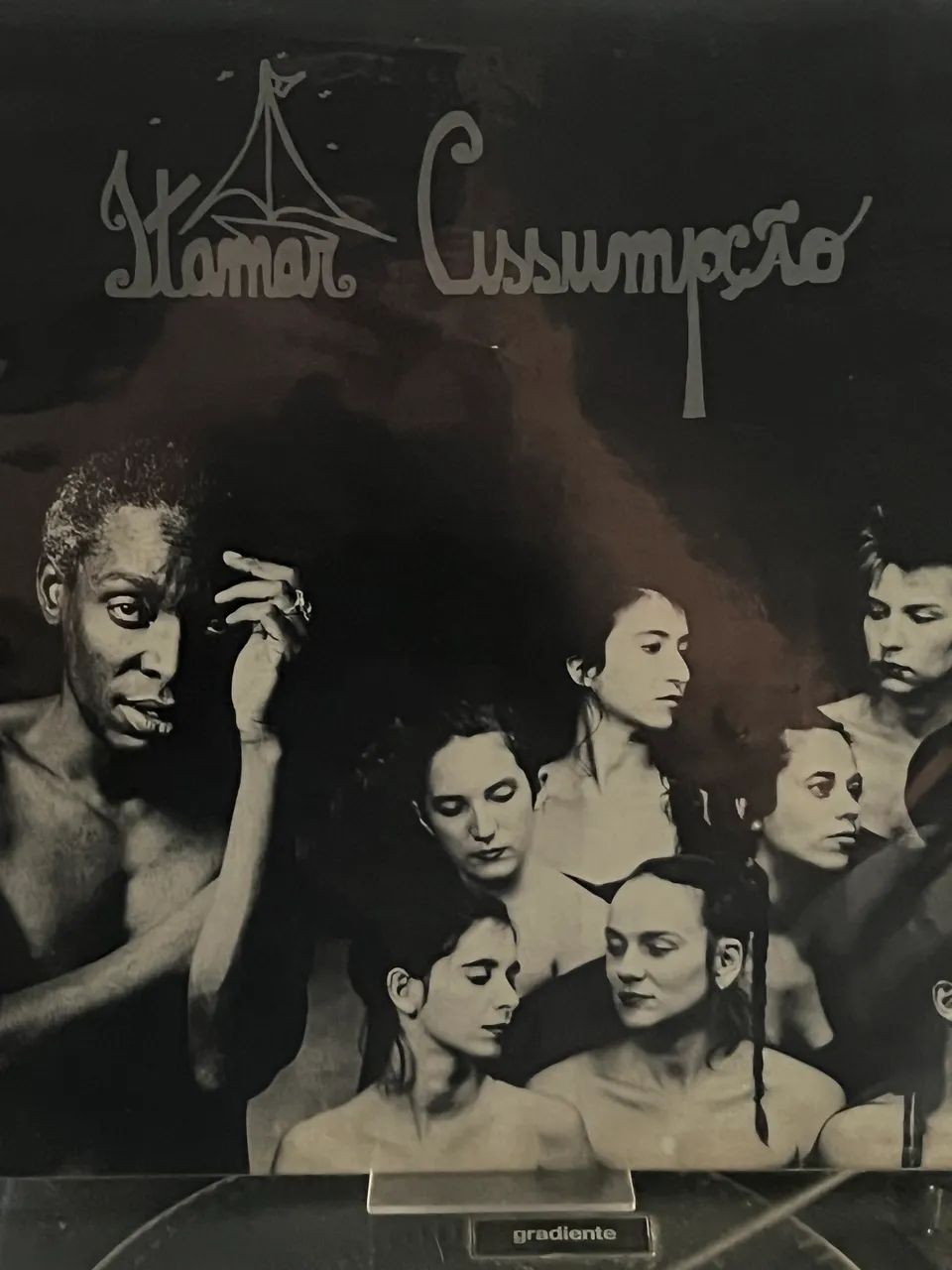 LP - ITAMAR ASSUMPÇÃO E AS ORQUÍDEAS DO BRASIL - BICHO DE 7 CABEÇAS VOL 2 - Foto 2