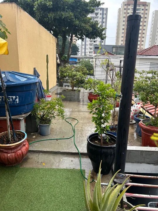 Plantas e vasos  - Foto 3