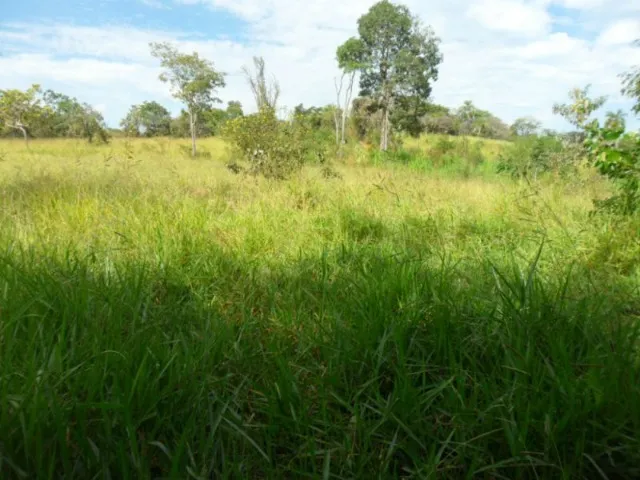 Fazenda, pasto para alugar arrendar região BH em Sete Lagoas MG, plantação, terreno rural