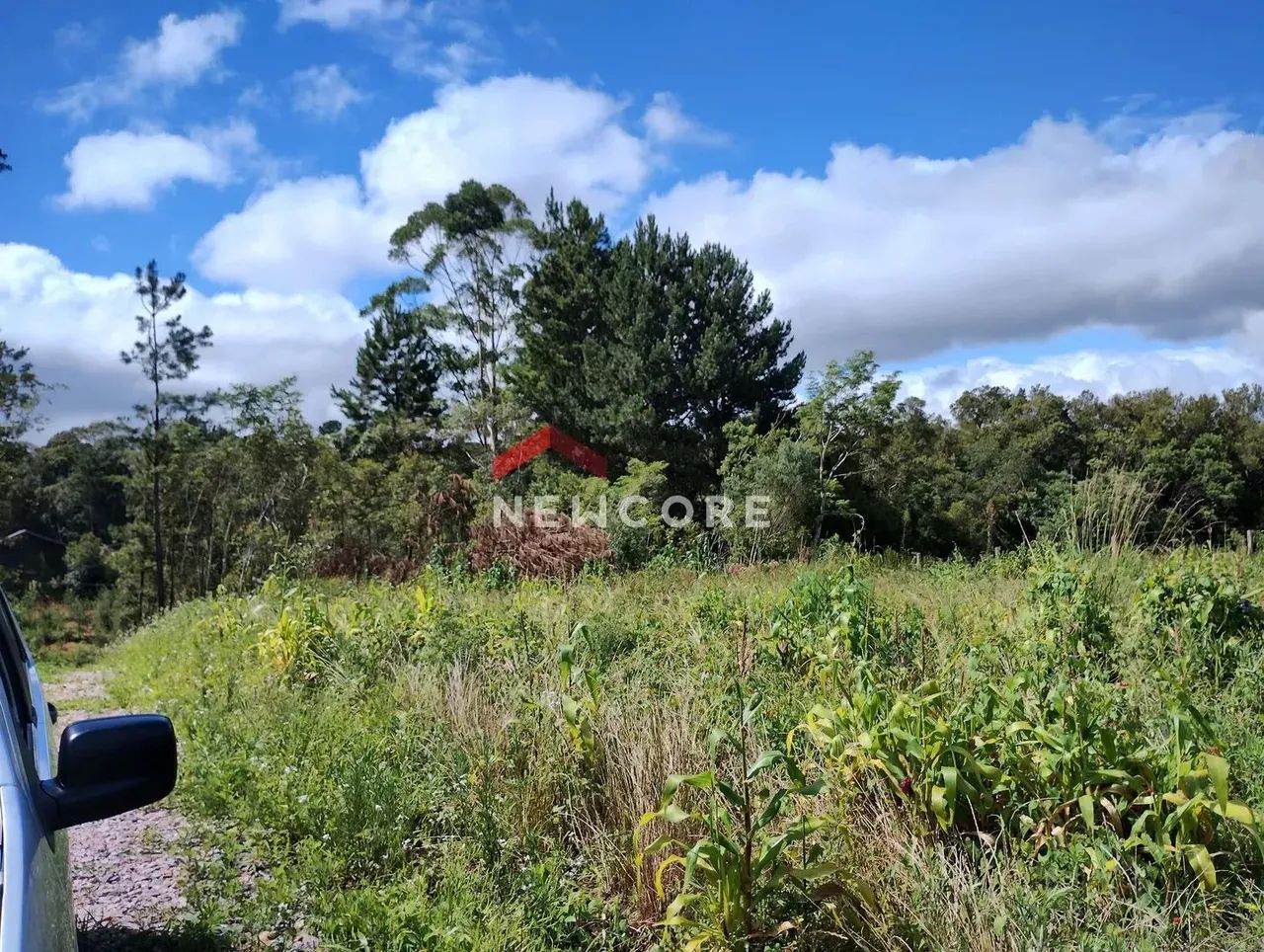 Lote em Rua Hermenegildo Soares Machado - Roseira de São Sebastião - São José dos Pinhais/ - Foto 5