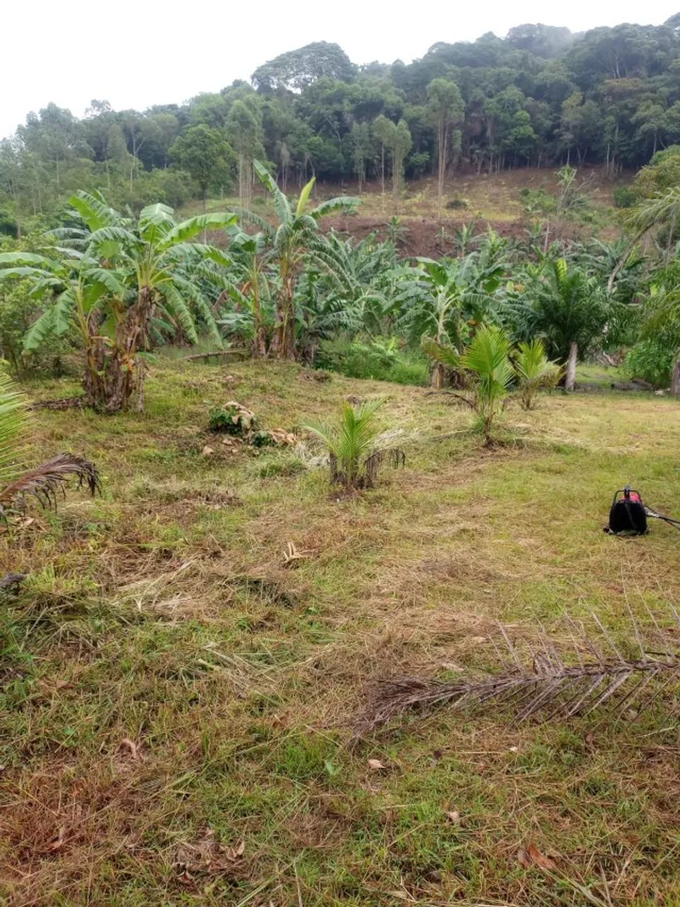 Terreno medindo dois hectares na zona rural de Cachoeiras de Macacu - Foto 3