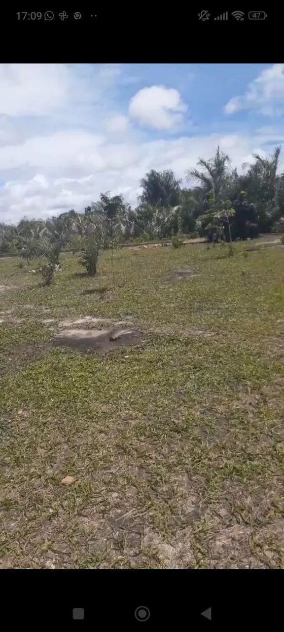 Foto - São Luís - Anil