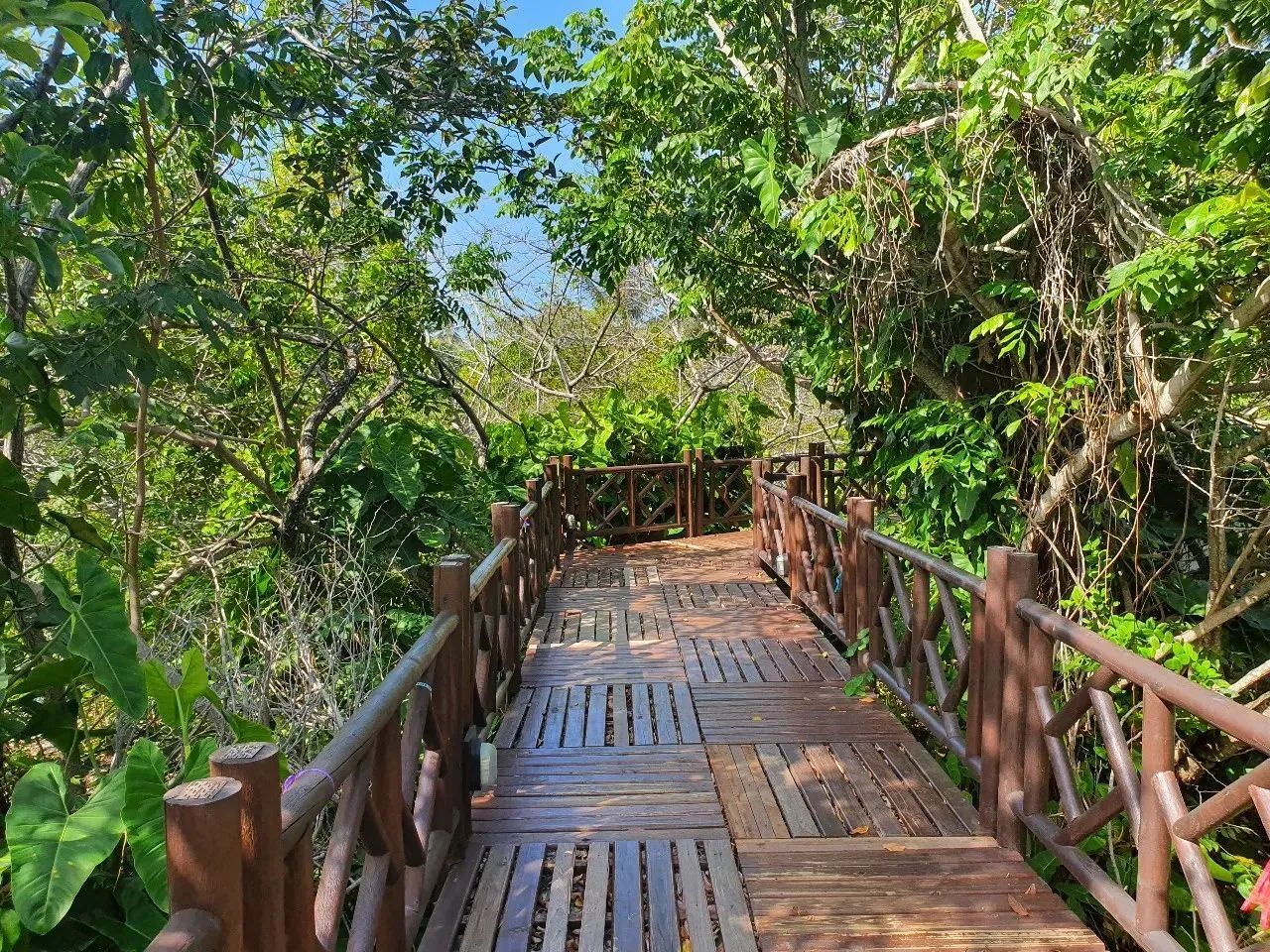 Reserva Sauípe, A Partir De 450M², Condomínio Com Lotes Residenciais. 1367BEH - Foto 2