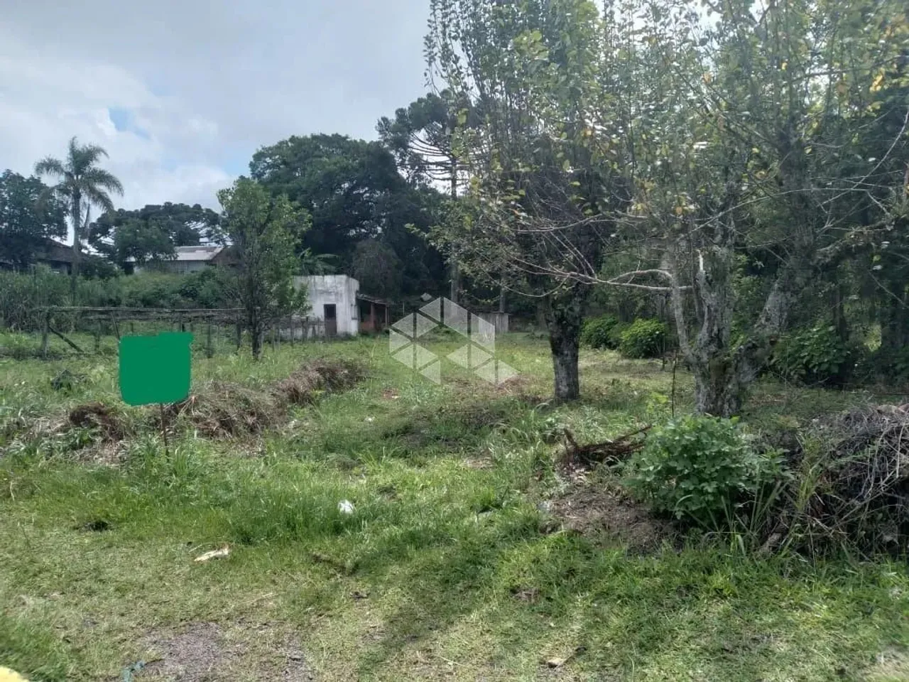 Excepcional terreno de frente para a BR116