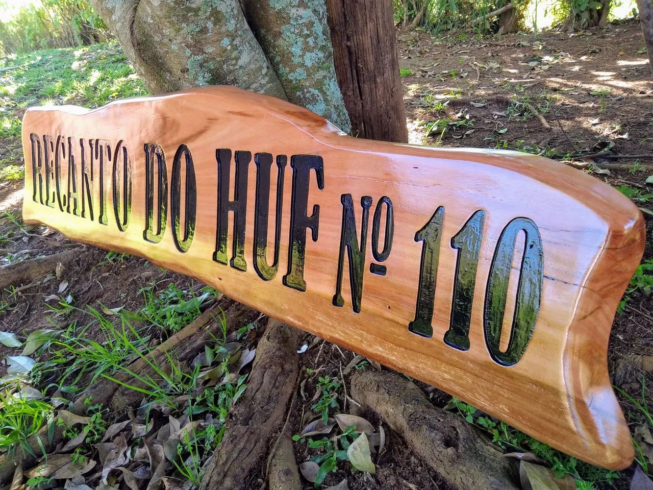 Placas personalizadas!!!64288877998979122