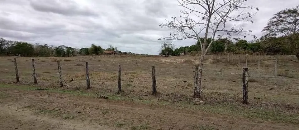 CHACARA em Itaperuna mede 20x75 (1500metros)