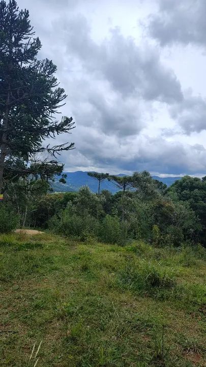 Lindo sítio em Urubici SC  - Foto 2