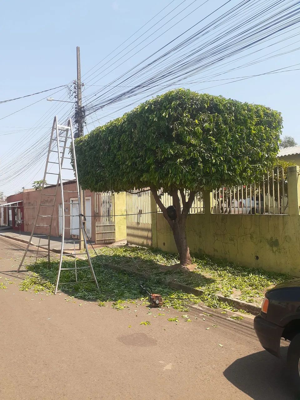 Jardineiro   - Foto 2