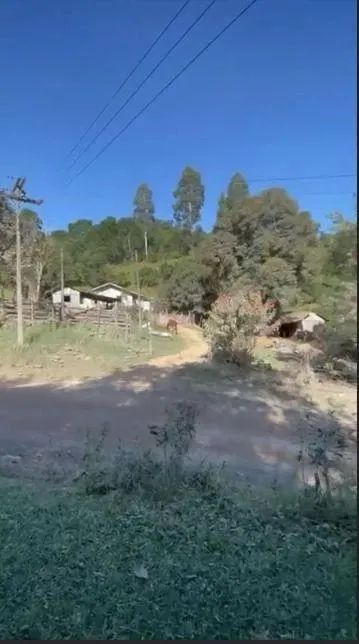 Terreno à venda, BATEIAS , CAMPO LARGO DA ROSEI - PR - Foto 4
