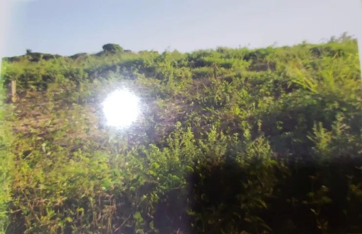 Foto - Aracaju - José Conrado de Araújo