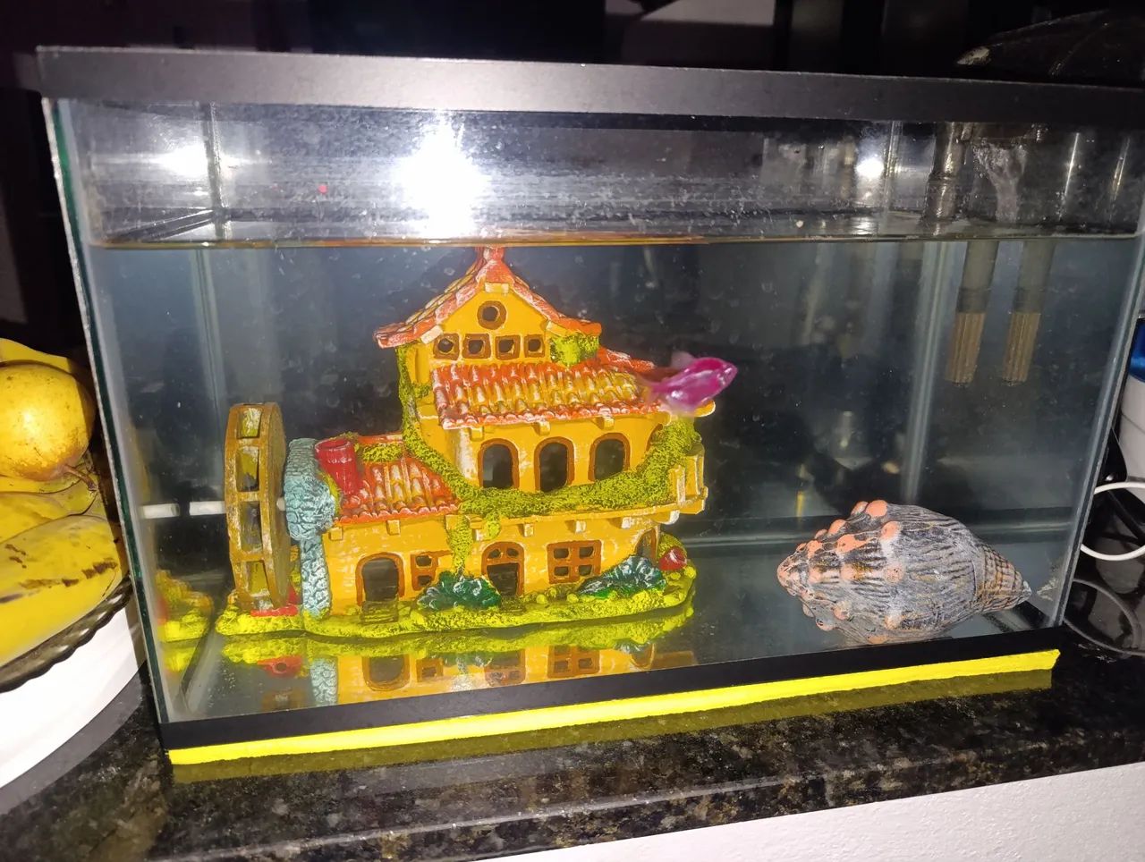 Vendo aquário completo  - Foto 2